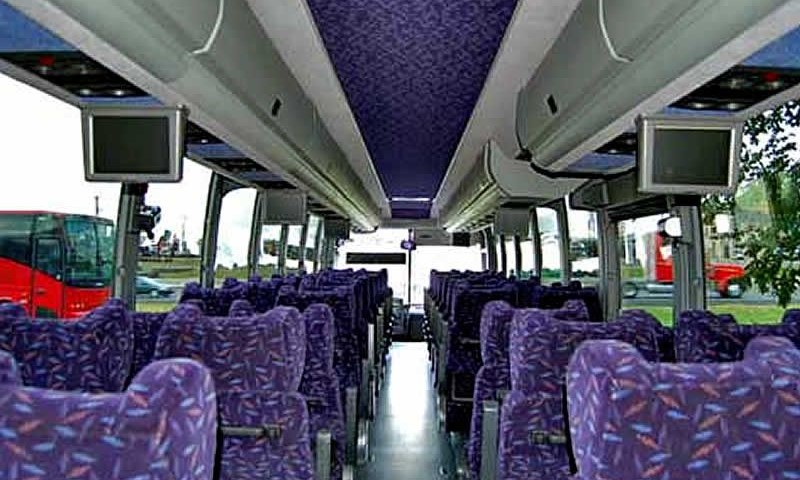 55 passengers luxury bus
